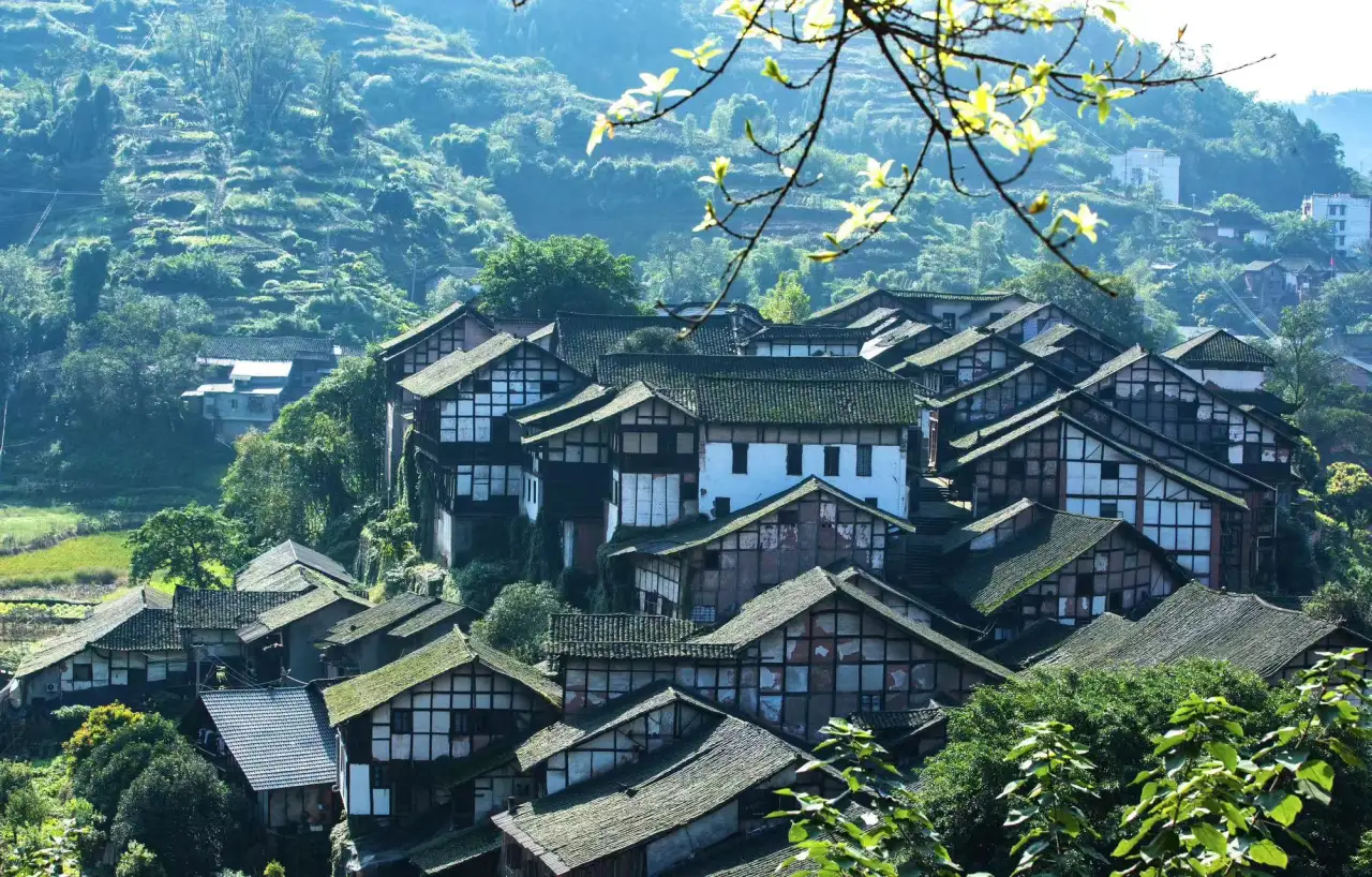 泸州合江佛宝
