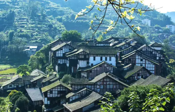 泸州合江佛宝